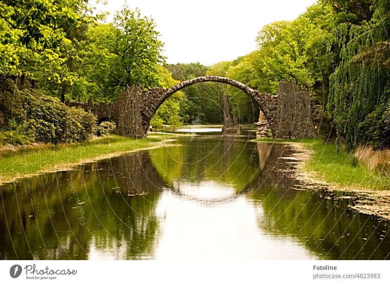 Die Rakotzbrücke in Kromlau im Mai fotografiert. Dieses Mal in saftigem Grün. Park Natur Baum Außenaufnahme Farbfoto Pflanze See Landschaft Wasser