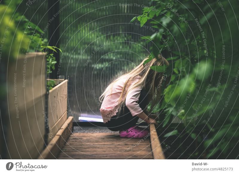 Mädchen erkundet das Gewächshaus Kind Garten erkunden Neugier neugierig Umwelt Pflanzen Wachstum Natur Gartenarbeit niedlich