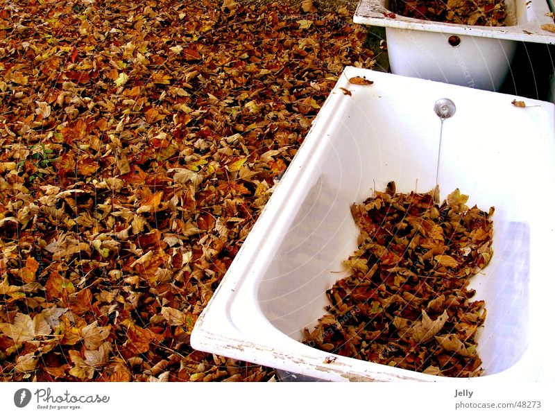 herbstbad Badewanne Blatt Herbst weiß braun Bodenbelag Natur