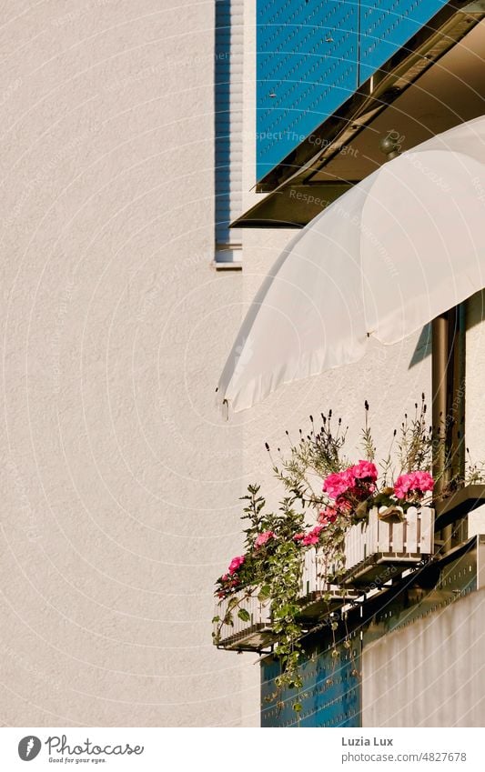 Vor dem Balkon rosa Blüten, darüber ein großer weißer Sonnenschirm Reihenhaus Balkonkasten leuchtend sonnig blau hell Licht Sonnenschein Sommerzeit altmodisch