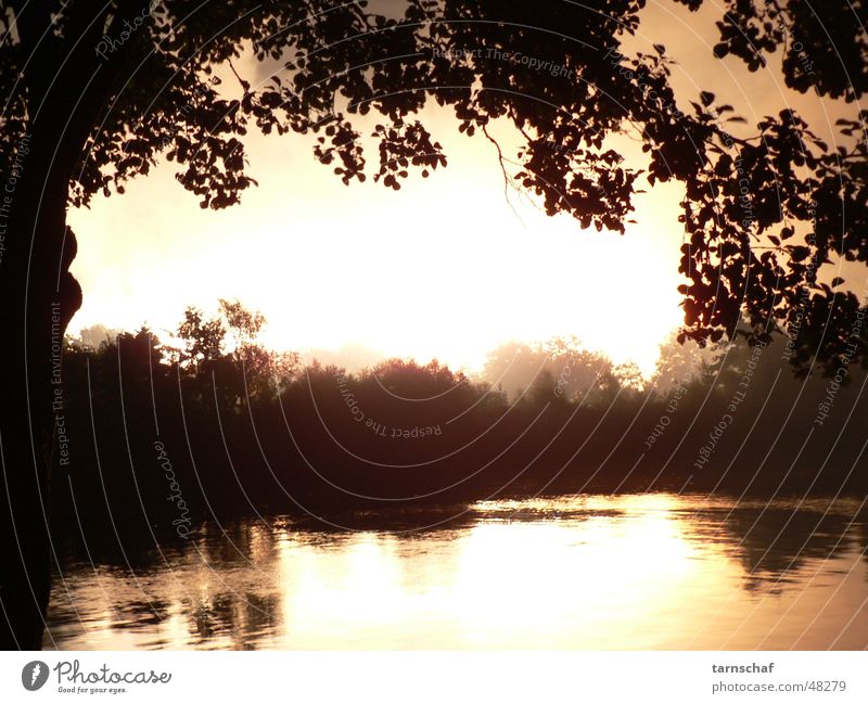 Explosion Horizont Baum Silhouette Reflexion & Spiegelung Licht grell ruhig Himmel Fluss hell bedrohlich