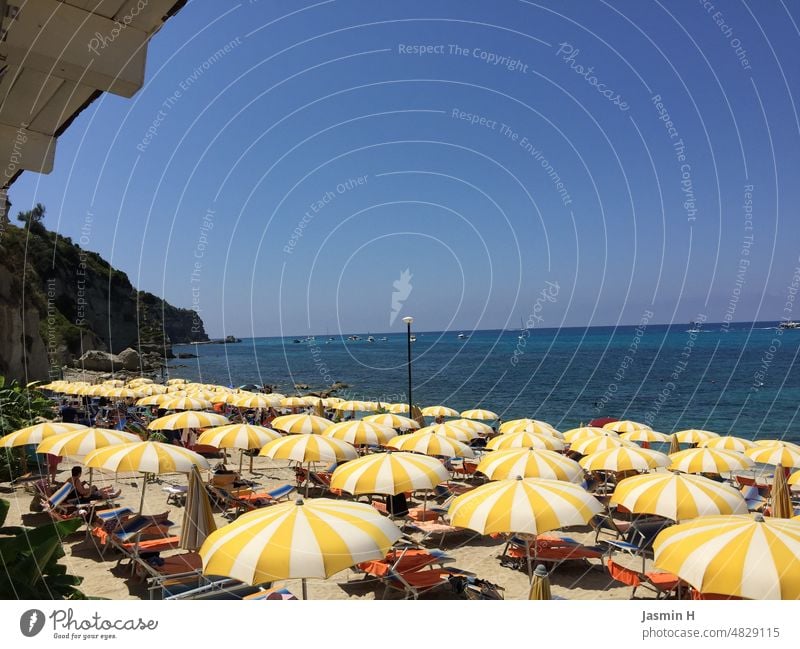 Sonnenschirme am Strand gelb-weiss Sommer Himmel blau Ferien & Urlaub & Reisen Meer Tourismus Außenaufnahme Farbfoto Schönes Wetter Erholung Wolkenloser Himmel