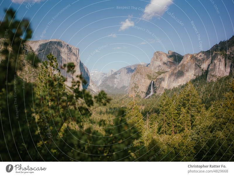 Weiter Blick über Bäume des Yosemite-Vally auf den "El Capitan" und Wasserfälle. Sonnenlicht Filmlook Tourismus Wahrzeichen Licht warm Tourist Himmel