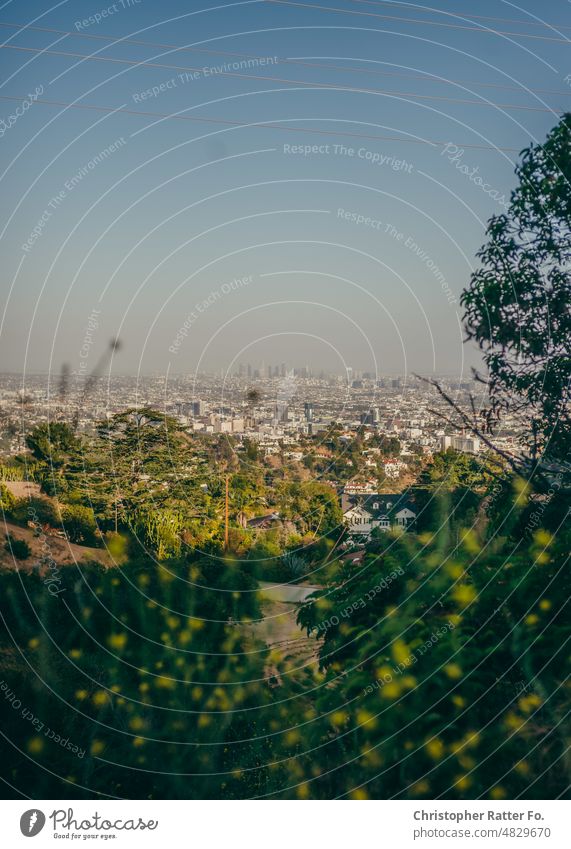 LA Poster views from the Runyon Canyon / Hollywood Hills / Mullholand Drive Filmlook Tourismus Licht warm Tourist Textfreiraum Urlaub Urlaubsstimmung Plakat