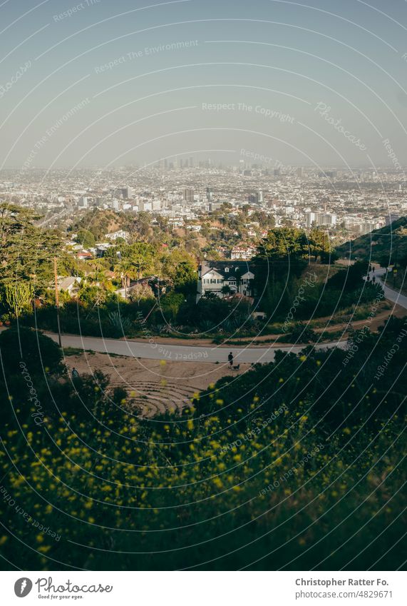 LA Poster views from the Runyon Canyon / Hollywood Hills / Mullholand Drive Filmlook Tourismus Licht warm Tourist Textfreiraum Urlaub Urlaubsstimmung Plakat