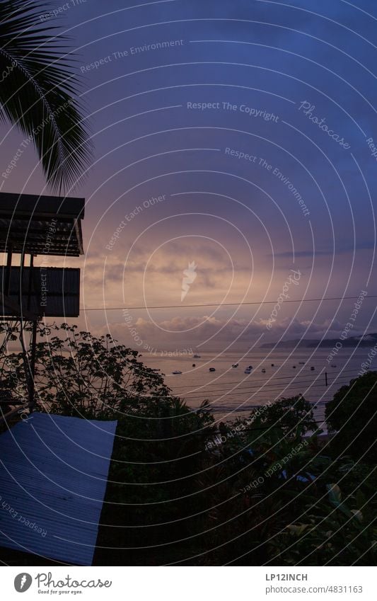 CR II. Bucht in Costa Rica Boote ankern Palme Sonnenuntergang Himmel Tourismus Meer Pazifik Sommerurlaub Mittelamerika ausblick Erholung Motorboot