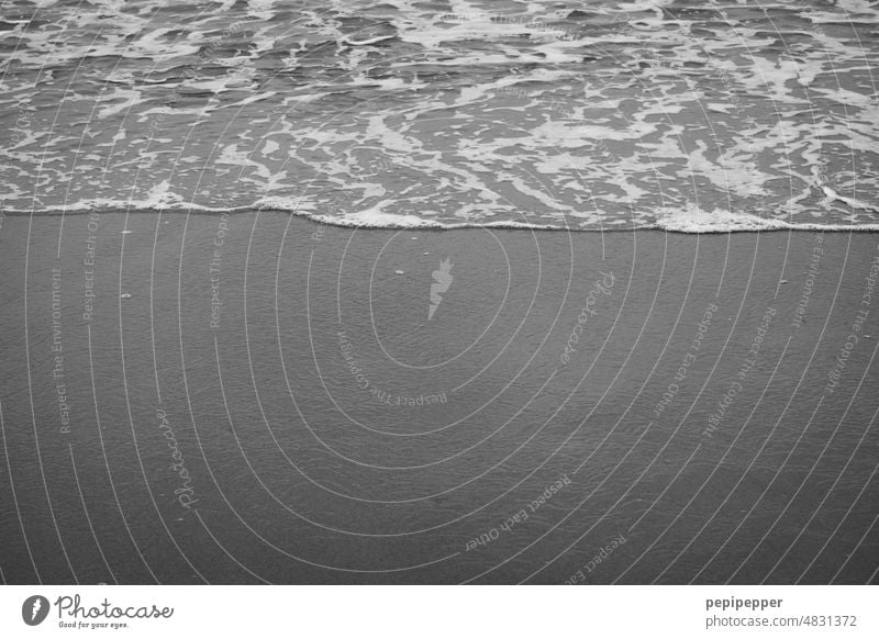 Ozean Meer Meereslandschaft Meeresufer Meerwasser Küste Wasser malerisch Strand Horizont Wellen Wellengang Wellenform Wellenlinie Wellenschlag winken