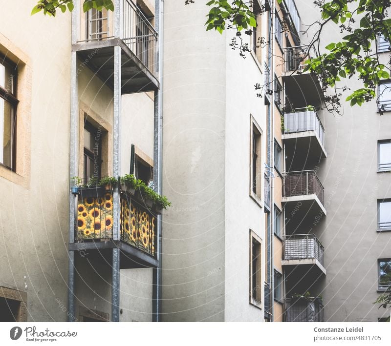 Grauer Hinterhof mit Fenstern und einem geschmückten Balkon. hinterhofidyll Haus Wand Fassade Stadt Innenhof mehrfamilienhaus altbau wand innenstadt fassade