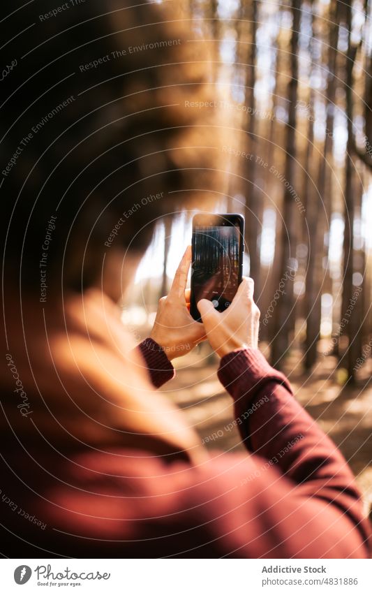 Ein Mann fotografiert einen Wald im Herbst fotografieren reisen Abenteuer nadelhaltig Wälder Immergrün Smartphone männlich Natur Tourismus Apparatur Urlaub