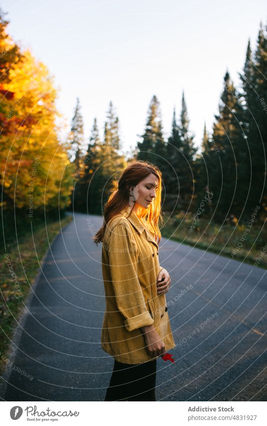 Nachdenkliche Dame, die während eines Ausflugs bei Sonnenuntergang ein Blatt auf der Straße hält Frau Herbst zeigen Tourist Ahorn reisen Natur erkunden Wald