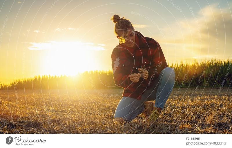 bäuerin prüft die bodenqualität vor der aussaat auf ihrem feld. bäuerin auf feld hält erde in den händen. agronomin prüft die qualität des gesäten getreides.