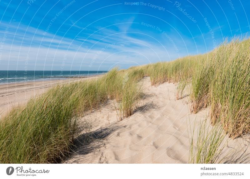 Nordsee domburg Niederlande Zeeland holländisch Europa Sylt MEER Strand Feiertage Gezeiten Wasser Küstenstreifen Wellen reisen Urlaub Himmel Tourismus Sommer