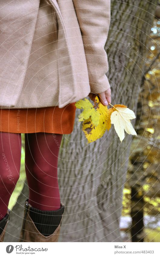 Herbstlaub Mensch feminin Junge Frau Jugendliche 1 18-30 Jahre Erwachsene Natur Schönes Wetter Baum Blatt Park Wald Mantel gelb Stimmung Fröhlichkeit