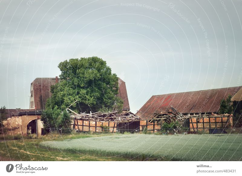 Einfallsreichtum Ruine Gebäude Fachwerkhaus Baum Feld Dorf Haus Bauwerk Dach historisch kaputt Verfall Vergänglichkeit Wandel & Veränderung Häusliches Leben