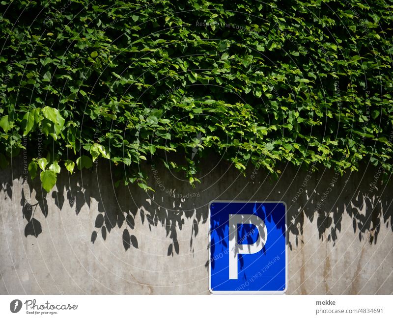 Parkplatz unterm Grünen parken Schilder & Markierungen Hinweisschild Wand Zeichen Warnschild Verkehrszeichen Mauer Verkehrsschild Fassade Stadt Straße PKW Auto