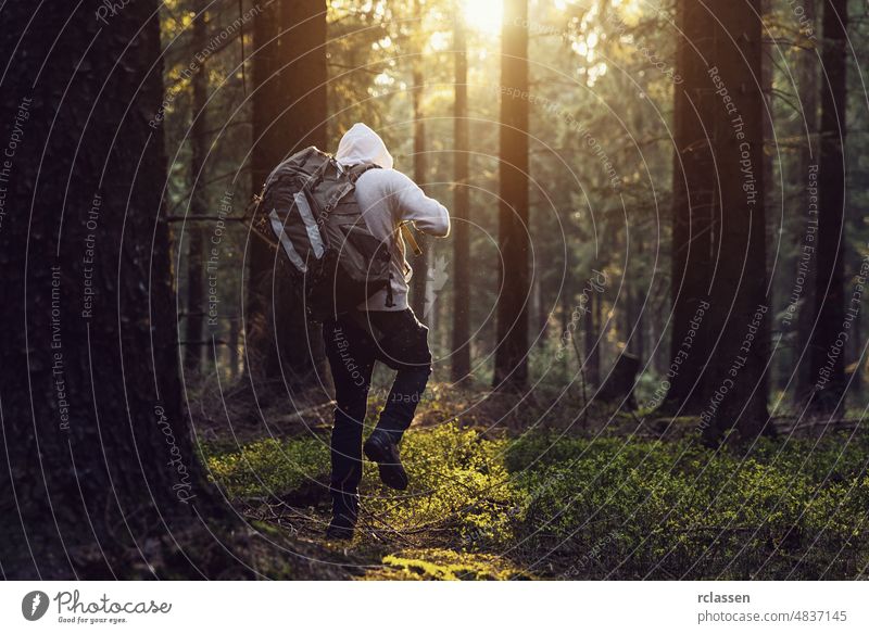 Mann wandert im Wald und die Sonne scheint durch den Wald Natur Landschaft Frühling Sonnenlicht Baum Sommer Nadelholz idyllisch Umwelt Sonnenuntergang