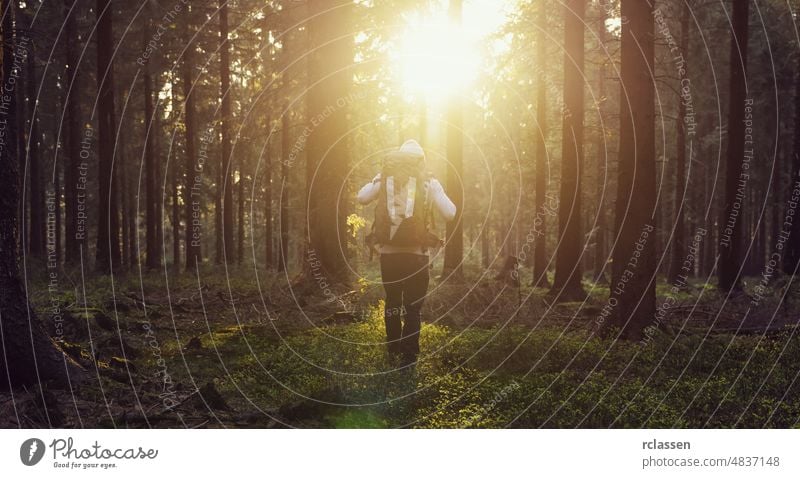 Sonniger Sonnenuntergang im Wald mit junger Wanderin Natur Landschaft Frühling Sonnenlicht Baum Sommer Nadelholz idyllisch Umwelt Kofferraum Sonnenschein Europa