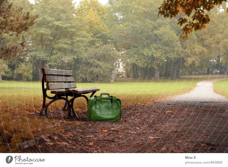 Bank im Park Ferien & Urlaub & Reisen Ausflug Abenteuer Freiheit Herbst Nebel Baum Wege & Pfade Gefühle Stimmung Heimweh Fernweh Einsamkeit Misserfolg Nostalgie