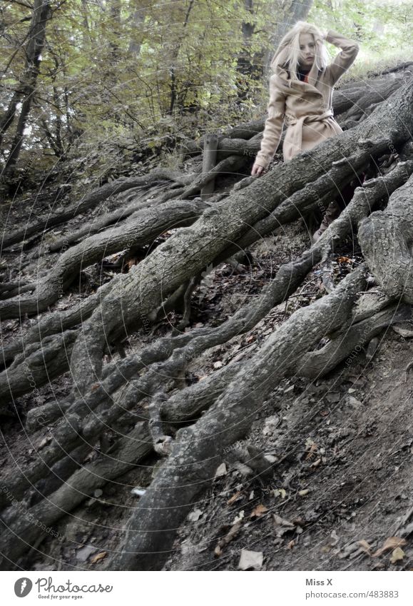 Gefangen Mensch feminin Junge Frau Jugendliche 1 18-30 Jahre Erwachsene Natur Erde Herbst Baum Wald Urwald blond gefährlich Schüchternheit Wurzel gefangen