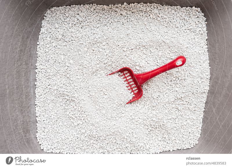 Katzenklo mit roter Schaufel Toilette Sandgrube Tablett Ton Katzenbaby Kätzchen Baggerlöffel Tier Pflege Sauberkeit Schürfen heimisch dung Gerät Kot katzenhaft