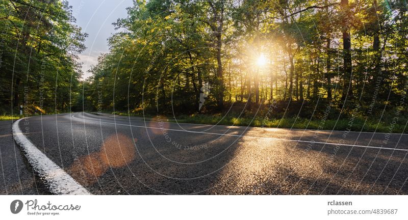 Lange kurvenreiche Waldstraße in den Alpen bei Sonnenuntergang Straße Berge u. Gebirge Autobahn leer Sonnenaufgang Ausflug malerisch Landschaft Sommer Asphalt