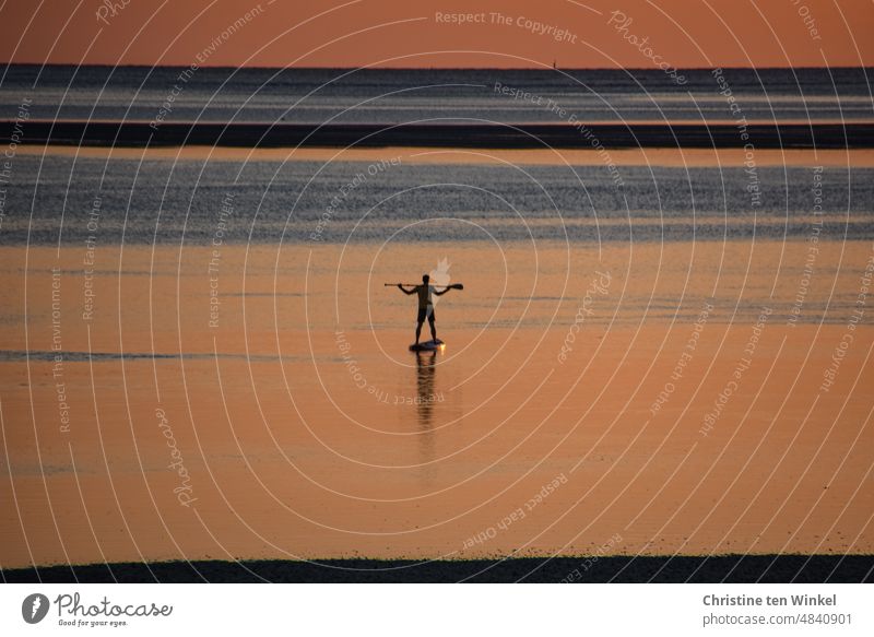 Sonnenuntergang im Wattenmeer mit der Silhouette eines Mannes, der auf seinem SUP Board posiert Sonnenuntergangshimmel Sonnenuntergangsstimmung Nordsee Menschen