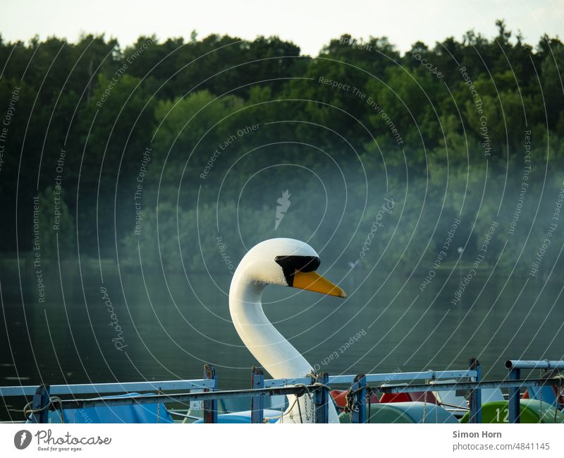 Tretboot Badeweiher Ferien & Urlaub & Reisen Schwan Nebel Tourismus Sommer Freizeit & Hobby See Attraktion Erholung Ausflug Wasserfahrzeug Feierabend