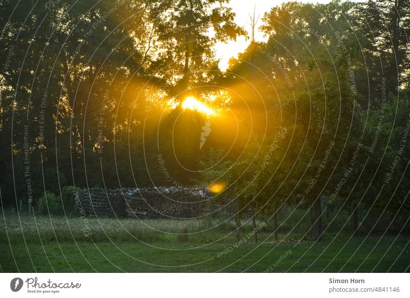 Abendstimmung Sonnenstrahlen Sonnenuntergang Abenddämmerung Abendlicht Landschaft Idylle golden goldenes Licht Stimmung Natur Sonnenlicht goldgelb Umwelt