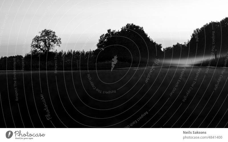 Auf der Straße aufsteigender Nebel, Spätsommerabend Lettland Wald Natur hase Nacht Nachtfotografie Langzeitbelichtung Nachtaufnahme Asphaltstraße