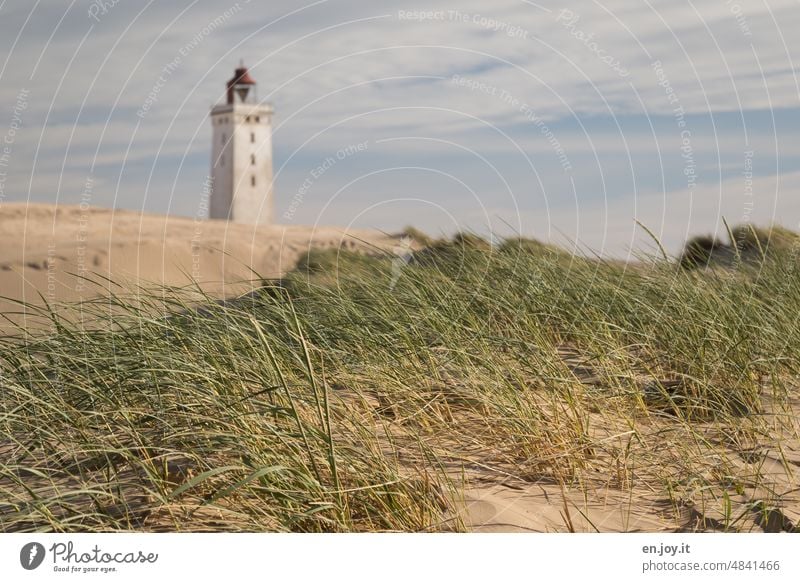 auf dem Weg zum Leuchtturm Rubjerg Knude Fyr Wanderdüne Rubjerg Knude Dänemark Stranddüne Küste Nordsee Sehenswürdigkeit Ferien & Urlaub & Reisen Jütland