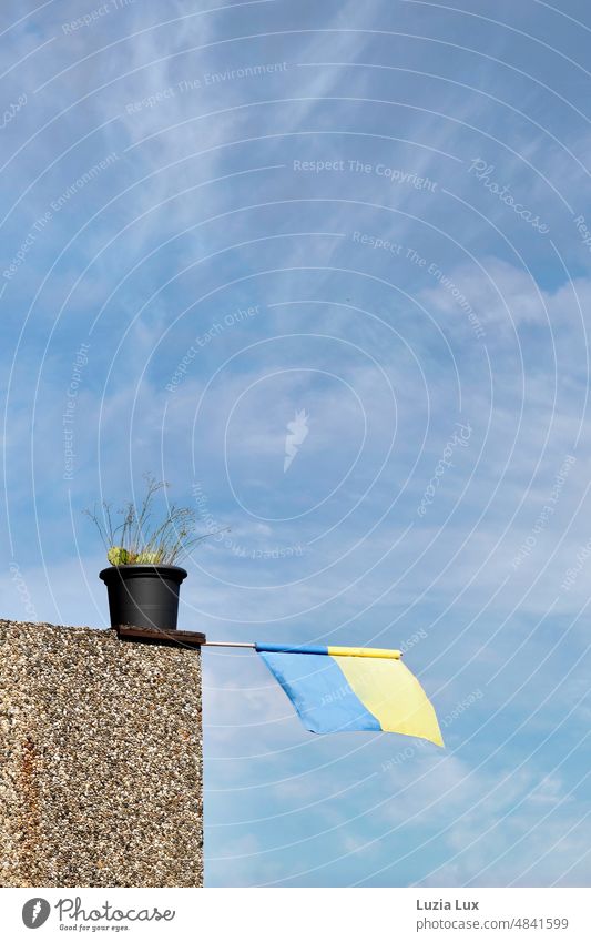 Flagge der Ukraine vor blauem Himmel, gehalten von einem Blumentopf am Balkonrand Ukraineflagge gelb wehen wehend am Abgrund am Rand Balkonwand Solidarität