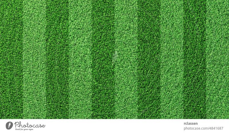 Detaillierte grüne Fußballfeld Gras Rasen Textur von oben Feld Stadion Boden Transparente Tasse Welt Hintergrund Spiel Nahaufnahme Fußballplatz Garten Kopfball