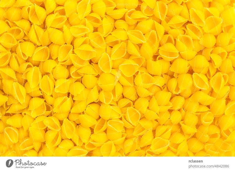 Conchiglie Nudelschalen Hintergrund Textur Diät Ernährung essen Hartweizen Italienisch Kohlenhydrate Lebensmittel Nudeln Spätzle Vegetarier roh Teigwaren