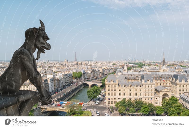 Chimäre (Wasserspeier) der Kathedrale Notre Dame de Paris mit Blick auf Paris Frauenzimmer notre alt Eiffel Turm Wahrzeichen Frankreich Skyline Europa Sommer