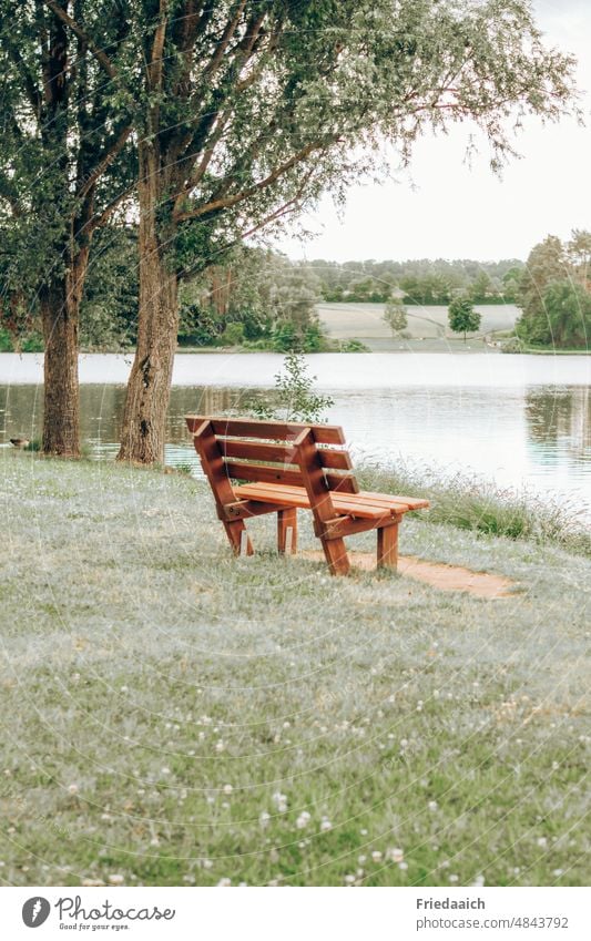 Ruhebank an einem Seeufer ruhebank Bank ausruhen Pausenplatz genießen Landschaft Natur Außenaufnahme Menschenleer ruhig Erholung Wasser Idylle Umwelt Baum