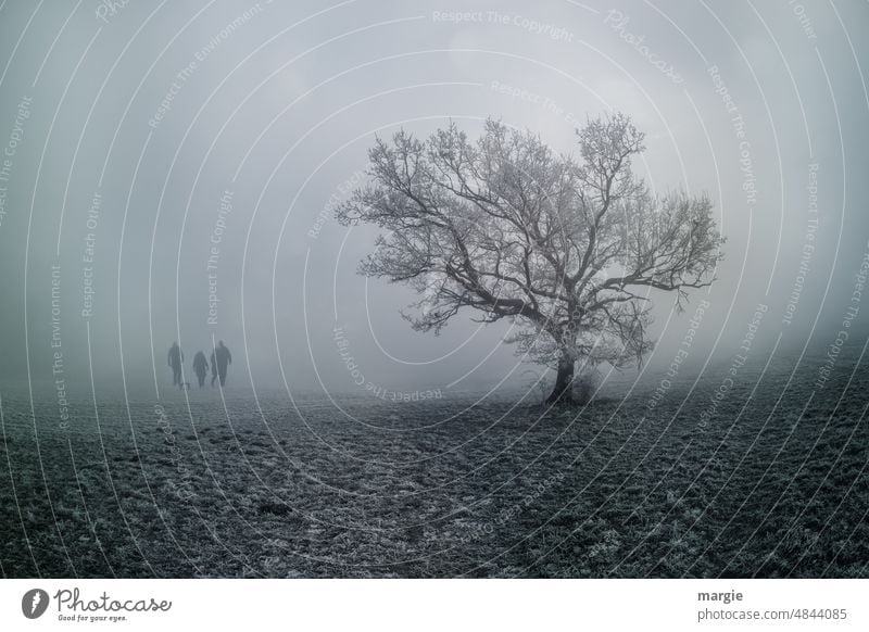 In einer eiskalten Winterlandschaft laufen 4 Personen mit einem Schlitten Winterurlaub Frost Natur Klima Landschaft Schnee Winterstimmung frieren Wetter