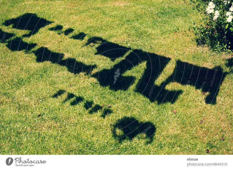 Schatten von unterschiedlichen Wäschestücken auf der Wäscheleine über einer Wiese hängend / Lufttrocknung / Waschtag Sommer frisch gewaschen Buxen Schattenspiel