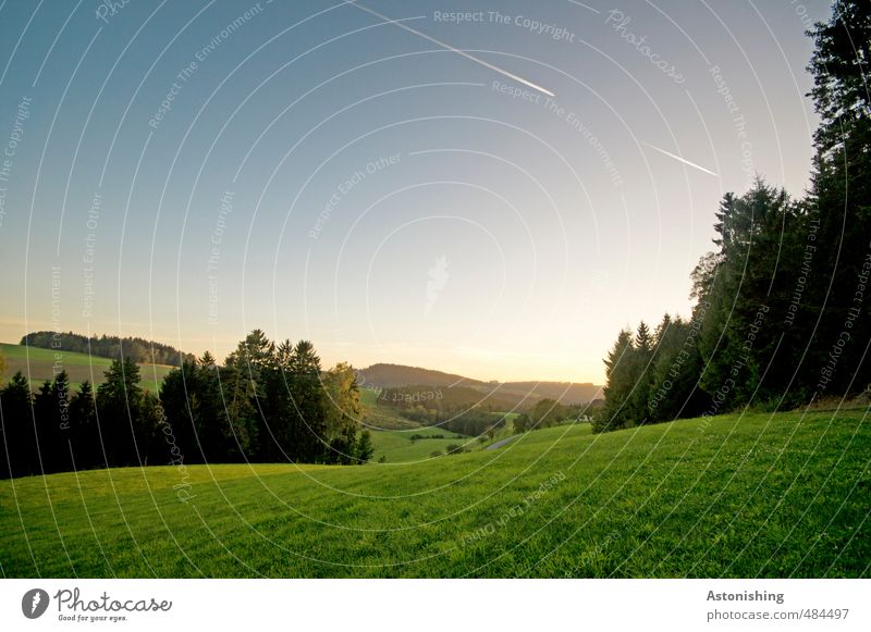 Auenland Umwelt Natur Landschaft Pflanze Himmel Wolkenloser Himmel Horizont Sonne Sonnenaufgang Sonnenuntergang Sonnenlicht Herbst Wetter Schönes Wetter Baum