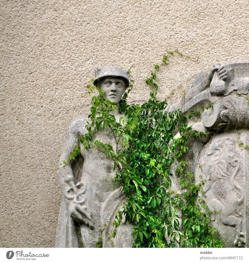 Bildhauerei mit natürlicher Dekoration Figur Fassade Fassadenfigur Strukturen & Formen Wand Gebäude Haus Architektur Bauwerk Wappenhalter Wilder Wein Efeu