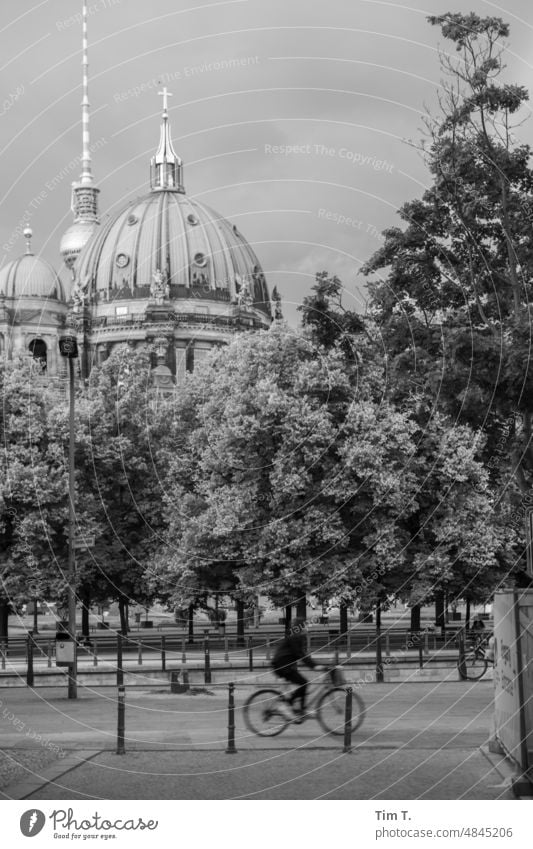 Radfahrer, Fernsehturm und Dom Berlin radfahrer Mitte bnw Hauptstadt Stadtzentrum Architektur Berlin-Mitte Berliner Fernsehturm Außenaufnahme Wahrzeichen