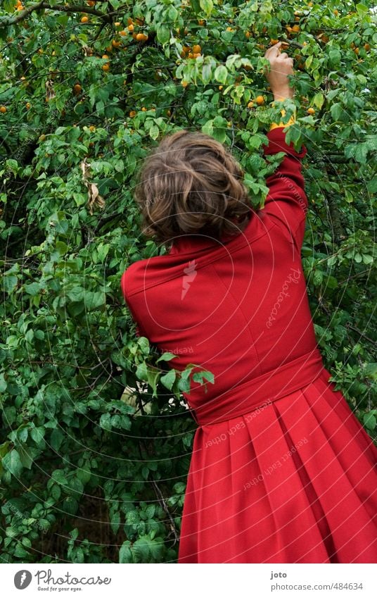 mal naschen Frucht feminin Junge Frau Jugendliche Sommer Baum Obstbaum Garten Mantel frech frei Glück Neugier Leben Interesse Appetit & Hunger Gier Gesundheit