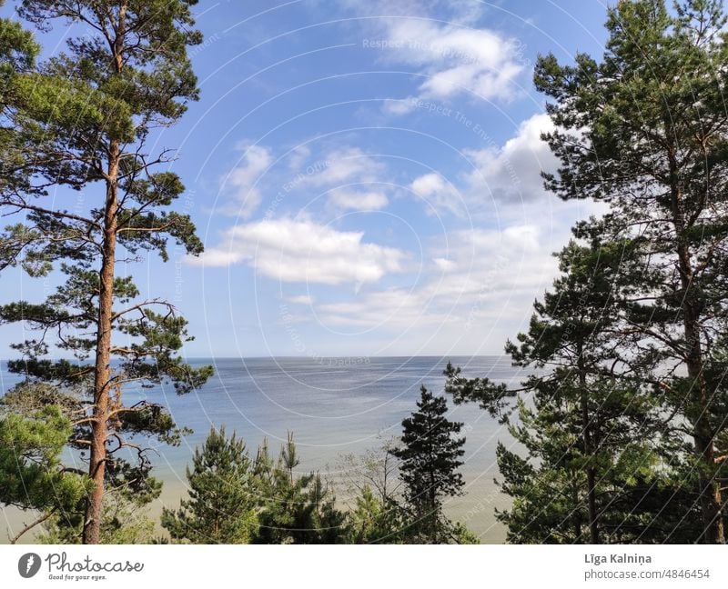 Meer MEER Strand Ferien & Urlaub & Reisen Wasser Sommer Tourismus Strandkorb Erholung Ostsee Sommerurlaub Nordsee Sand Sonne Natur Landschaft blau Küste