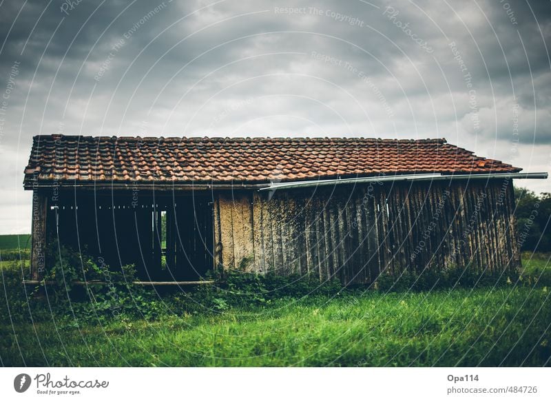 Old Barn Umwelt Natur Hütte Bauwerk Gebäude Holz Abenteuer Vergänglichkeit Wandel & Veränderung Zeit Zerstörung "Ziegel Wiese Gras Grün Dachrinne Alt Verfall