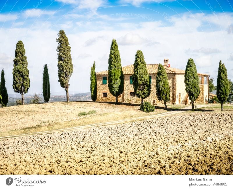 Landschaft in der Toskana Ferien & Urlaub & Reisen Tourismus Sommer Sommerurlaub Haus Natur Himmel Schönes Wetter Pflanze Baum Grünpflanze Wildpflanze Feld