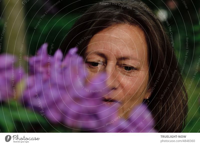 Antlitz einer Lady mit langem, dunklen Haar und Perle am Ohr versunken in die Betrachtung eines dicht mit violetten Blüten besetzten Zweiges - oder geht ihr Blick nach innen?