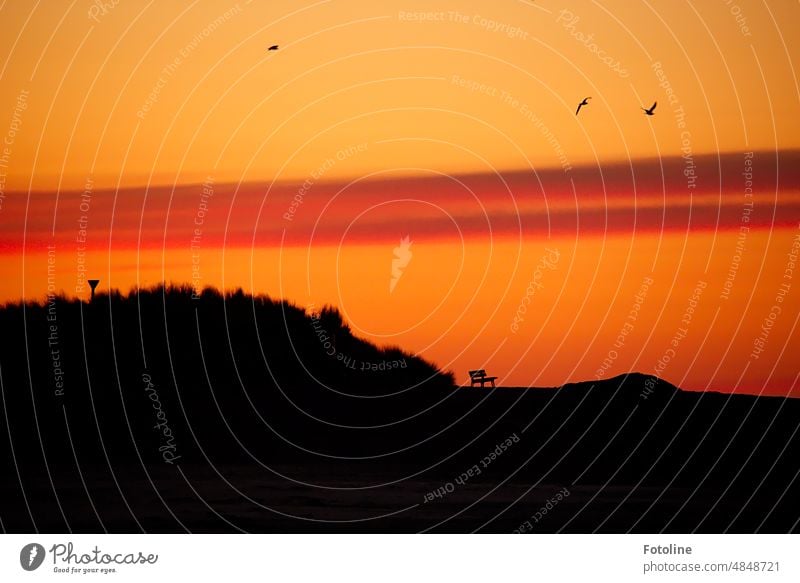 Feurig glüht der Himmel im Morgenrot. Strand, Düne, Bank und Vögel heben sich schwarz ab und bilden einen tollen Kontrast. Sonnenaufgang