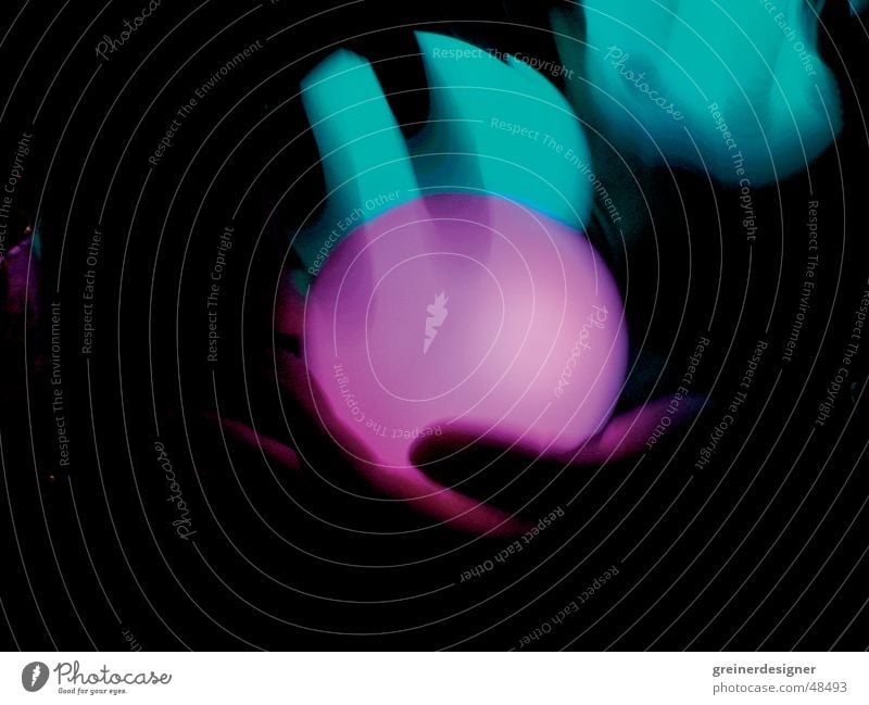 lichtkugeln Licht Hand Lichtkugel grün violett Zauberei u. Magie Kugel grünes licht farbiges licht magic