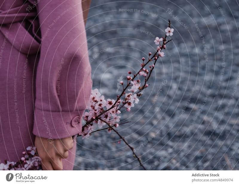 Frau in rosa Mantel mit Blüte fröhlichen Blumenzweig Zweig Vorbau Blütezeit Kirsche üppig (Wuchs) Blütenknospen Baum Garten Natur vegetieren Blütenblatt