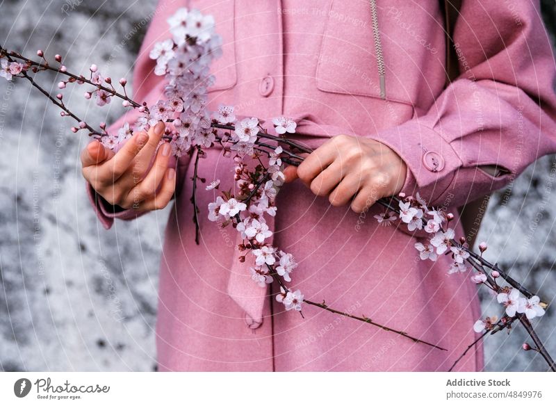 Frau in rosa Mantel mit Blüte fröhlichen Blumenzweig Zweig Vorbau Blütezeit Kirsche üppig (Wuchs) Blütenknospen Baum Garten Natur vegetieren Blütenblatt