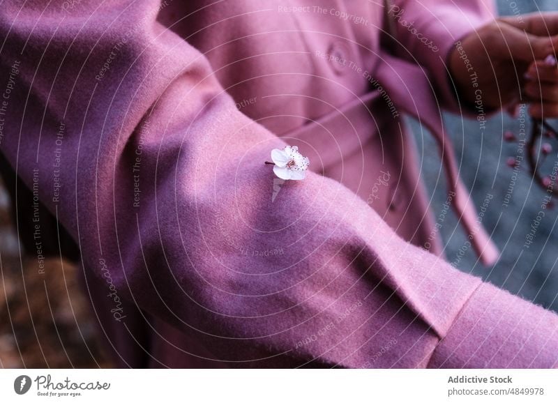 Frau in rosa Mantel mit Blüte fröhlichen Blumenzweig Zweig Vorbau Blütezeit Kirsche üppig (Wuchs) Blütenknospen Baum Garten Natur vegetieren Blütenblatt